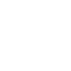Icon-bug.png