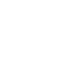 Icon-bug.png
